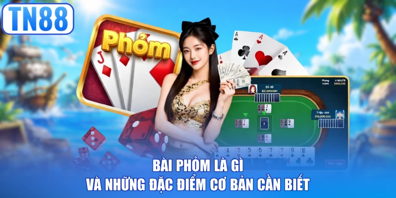 Bài phỏm là gì và những đặc điểm cơ bản cần biết