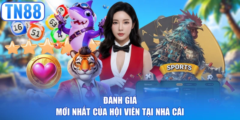 Đánh giá mới nhất của hội viên tại nhà cái