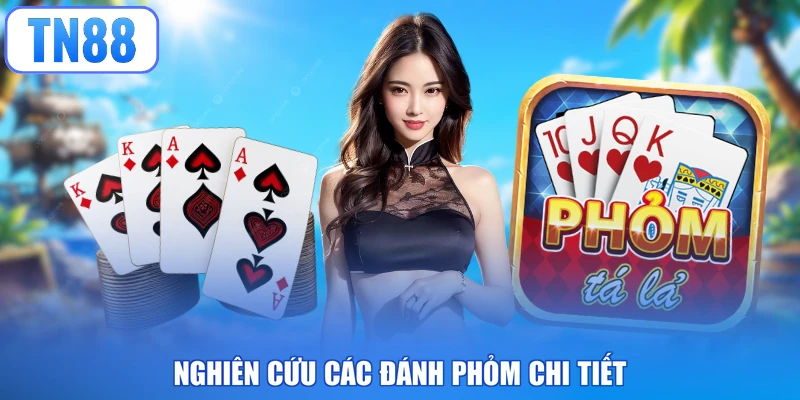 Nghiên cứu các đánh phỏm chi tiết