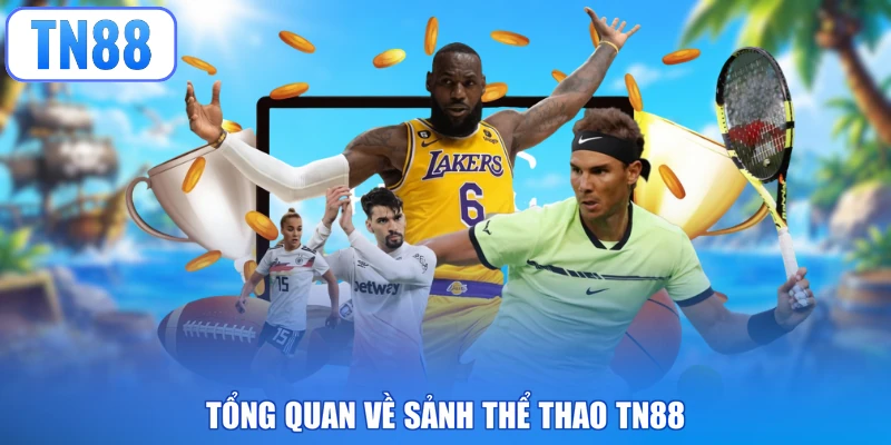 Tổng quan về sảnh thể thao TN88